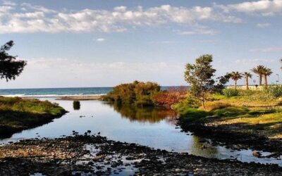 RUTA: PASEO POR EL RÍO GUADAIZA